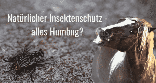 insektenschutz
