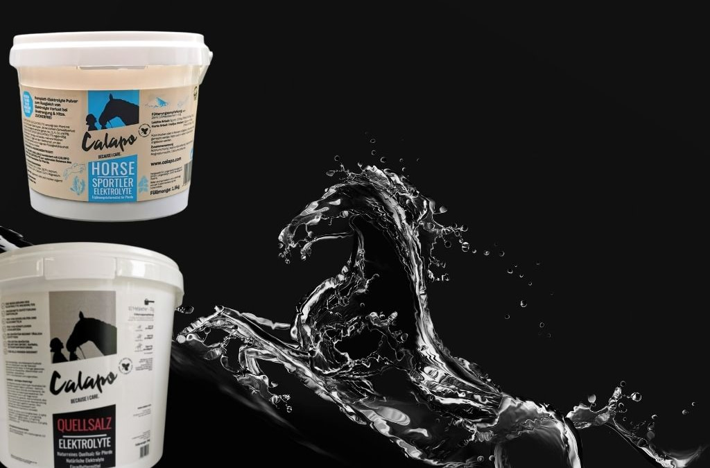 Elektrolyte: welche und wie füttern?
