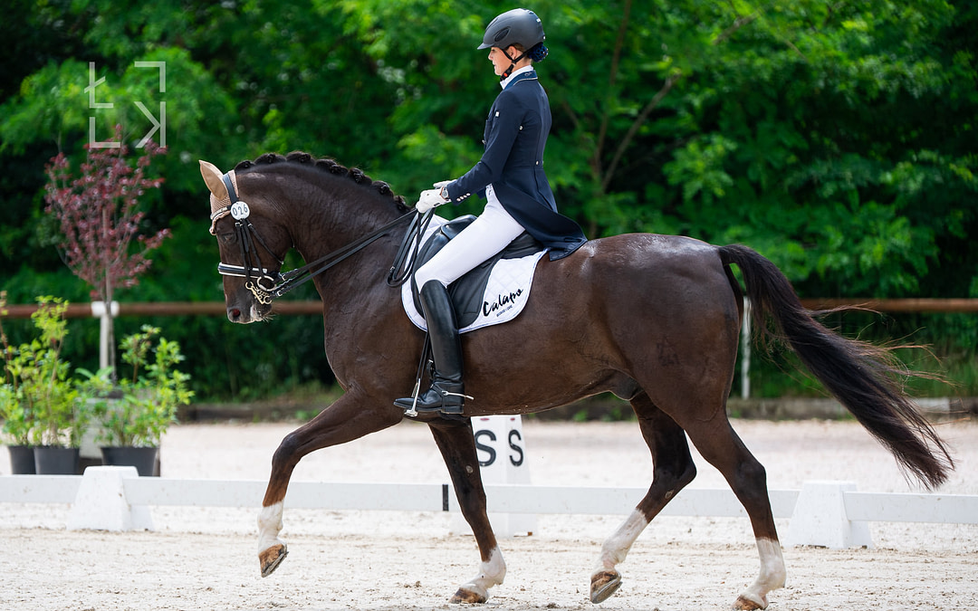 Diavolo – Grand Prix Pferd, Beweglichkeit