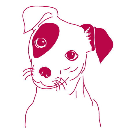 Kundenrezensionen Calapo Fermentierte Naturprodukte Fur Einen Gesunden Darm