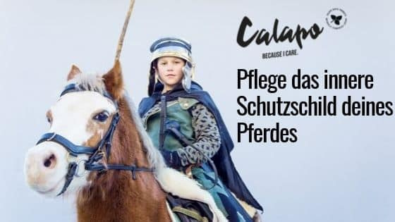 schutzschild