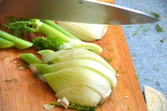 Präbiotisch – probiotisch oder wie?